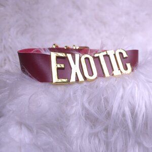 Custom Bold Gold “EXOTIC” Statement Collar Choker